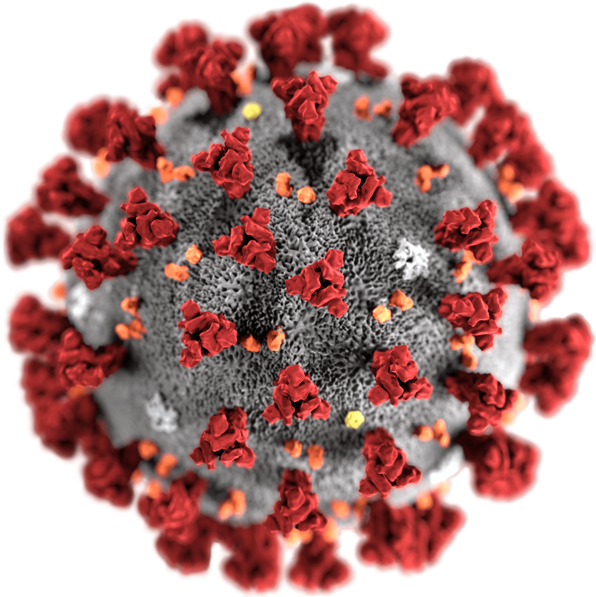 Coronavirus: i 10 comportamenti da seguire
