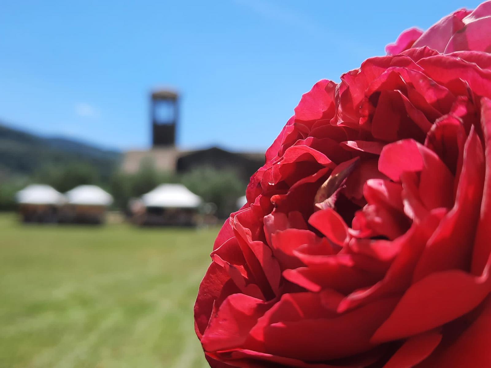 La Mostra Mercato di Piante e Fiori segna la sua prima edizione con ottimi risultati; partecipazione e condivisione di saperi con gli esperti