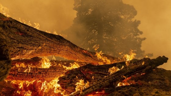 Rischio incendi, fino al 31 agosto divieto assoluto di abbruciamento